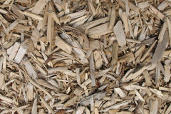 biomass boilers Sharperton
